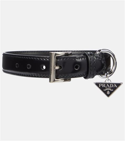 prada collare|designer inspired dog collar.